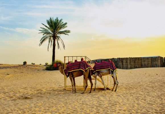 Excursion of two days / one night to zagora
