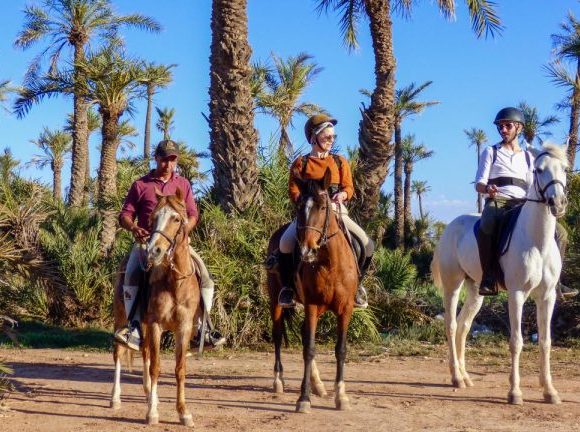 Marrakech: Horseback riding in the Palmeraie