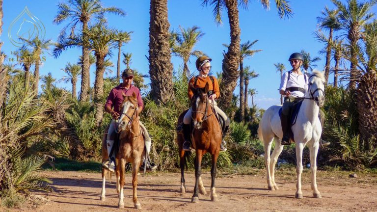 Marrakech: Horseback riding in the Palmeraie