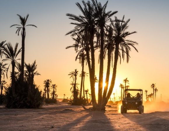 Buggy and dromedary at sunset in the Palmeraie of Marrakech